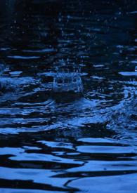 春风雨露直播内容介绍