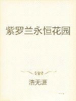 紫罗兰永恒花园全集免费观看