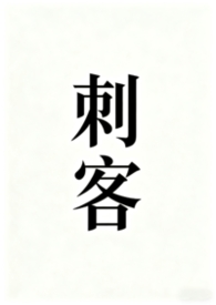 刺客女婿全文阅读